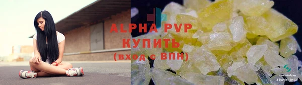 PSILOCYBIN Иннополис